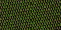 Farbmuster Kranzband Moire dunkelgrün